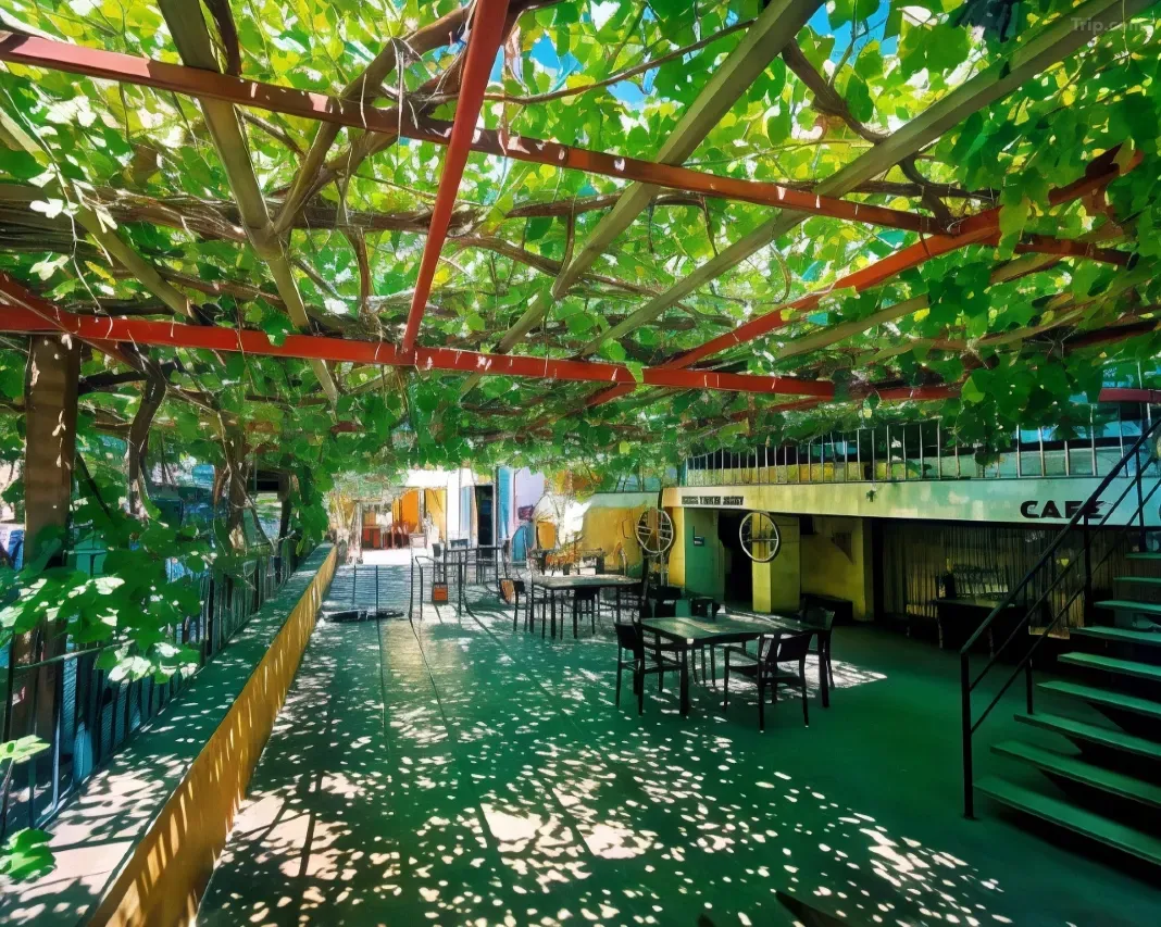 Galeri (En az 5 adet fotoğraf yüklemeniz gerekmektedir.)